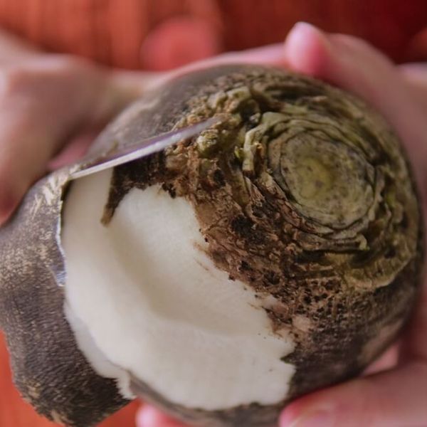 Crna rotkva: Recepti zbog kojih ćete ovo zaboravljeno povrće stalno kupovati