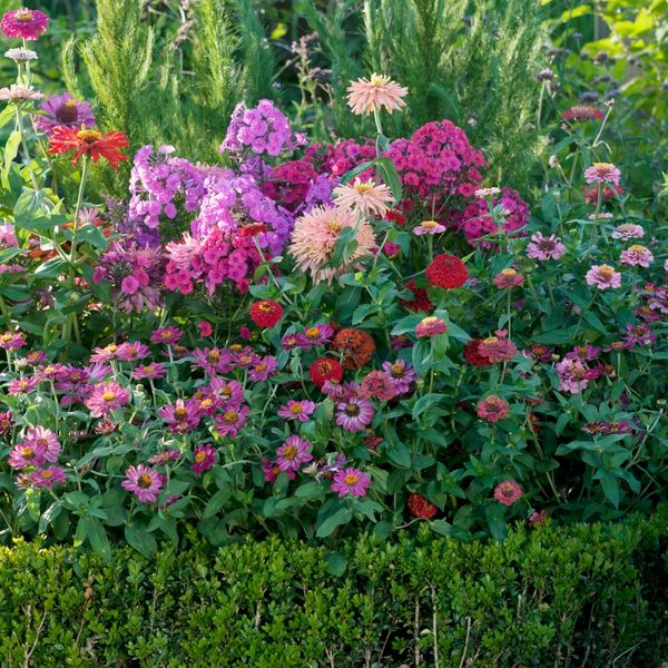 Trend za 2026. su lijepi vrtovi koji ne zahtijevaju prevelik trud