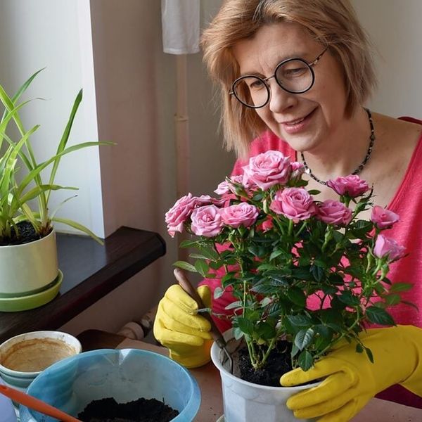 Koje cvijeće saditi u veljači? 12 otpornih biljaka koje možete bez straha posaditi krajem zime