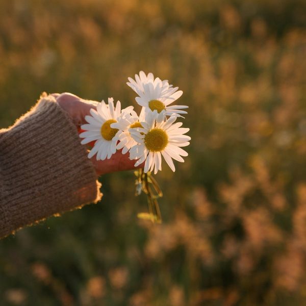 Dnevni horoskop za 24.2.