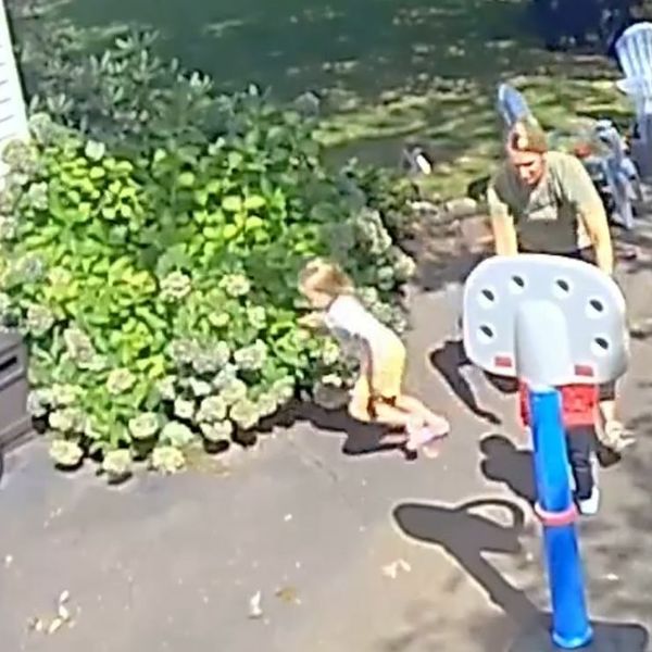 Nepozvani gost prišuljao se obitelji, pogledajte zašto su se svi dali u bijeg