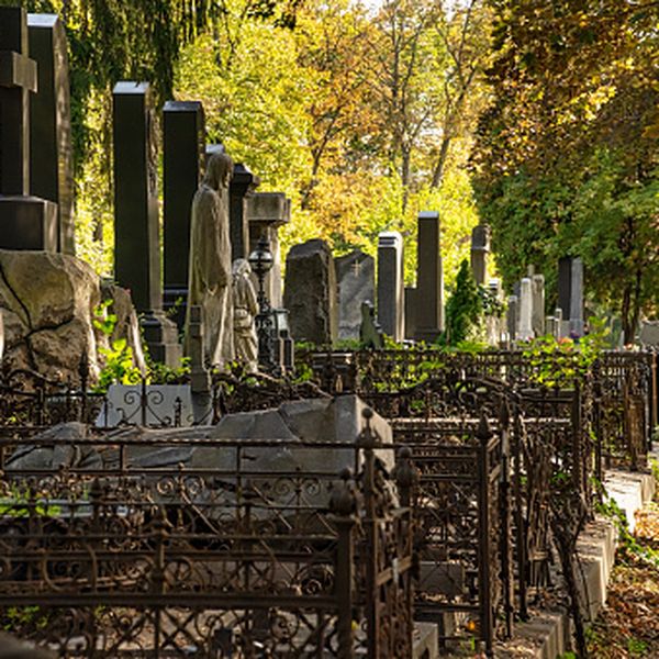 Djevojčica ubila ženu na goblju, sada su otrkiveni uzemirujuće informacije