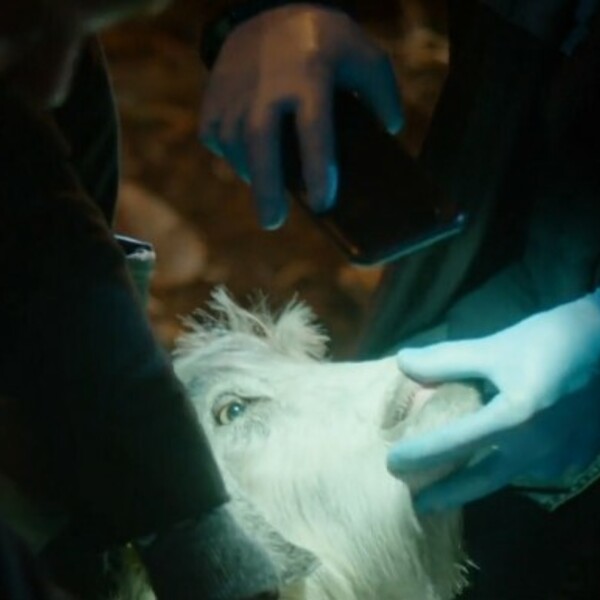 Crno more: Hoće li preživjeti do jutra?