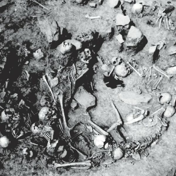 Masovna grobnica iz Željeznog doba u Srbiji otkrila stravičnu razinu nasilja nad djecom i ženama