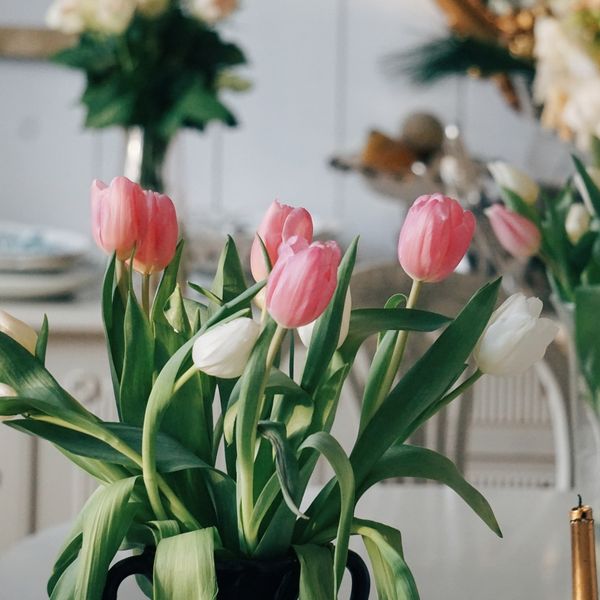 Dnevni horoskop za 28.2.