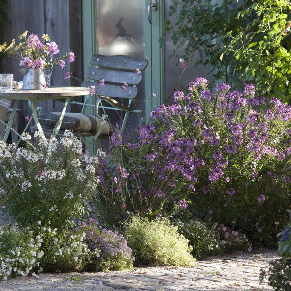 Boje koje su najbolji odabir za mali vrt