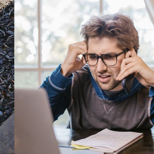 Pronađete li guštere na slici, ne trebate okulista jer vam je vid savršen! Pokušajte ih spaziti