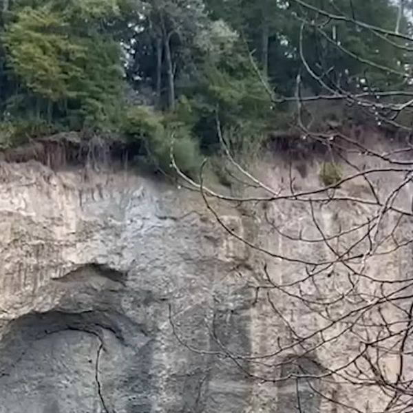 Idilična šetnja prirodom vrlo brzo eskalirala u kaos, uspjeli snimiti pravu dramu