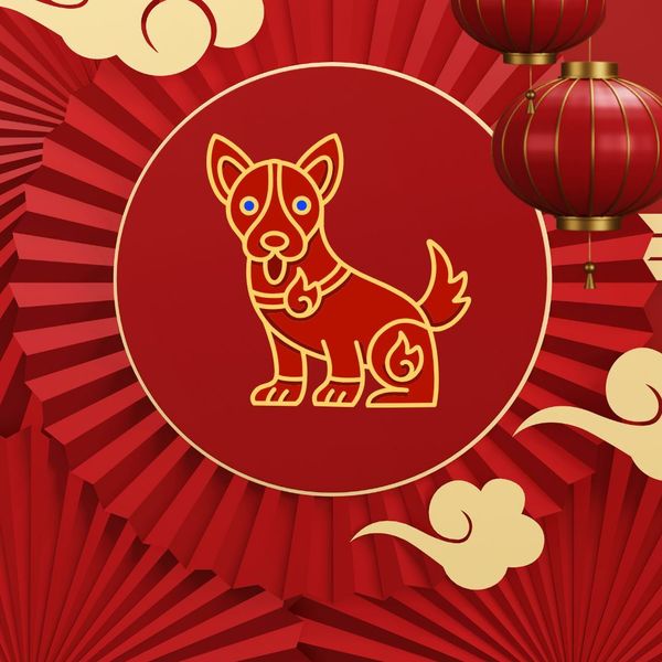 Kineski horoskop za 2026. - Pas