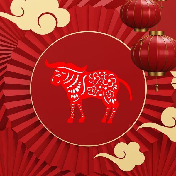 Kineski horoskop za 2026. - Bivol