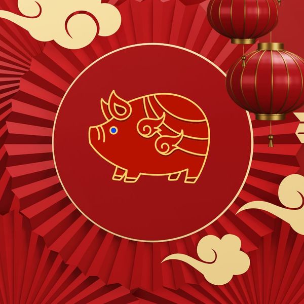 Kineski horoskop za 2026. - Svinja