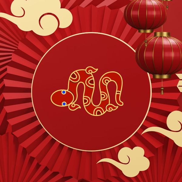 Kineski horoskop za 2026. - Zmija