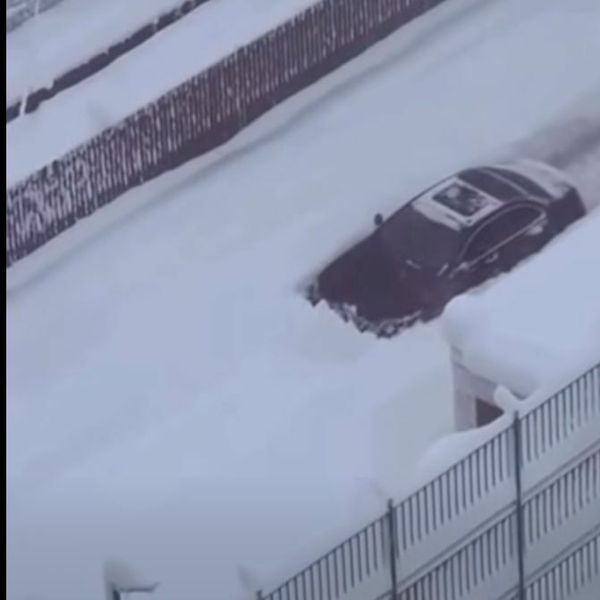 Vozač se pokušao obračunati sa snijegom na cesti, njegov pokušaj nasmijao gledatelje