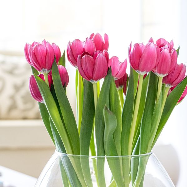 Što nam poručuje datum 19.1.?