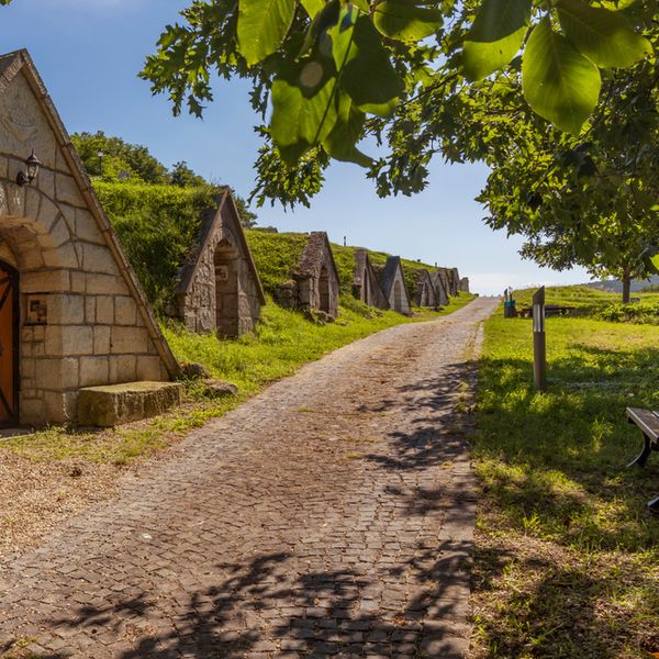 Savršen vikend u Mađarskoj: Zimsko kupanje, vinski podrumi i istraživanje prirode