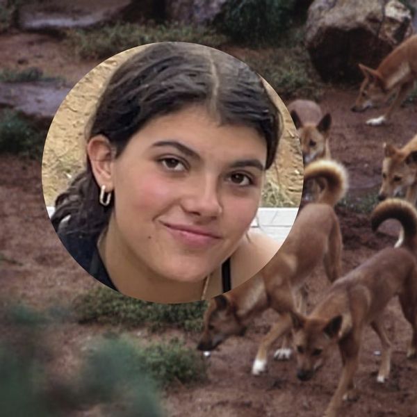 Piper je pronađena mrtva okružena čoporom pasa: Vlasti donijele drastičnu mjeru