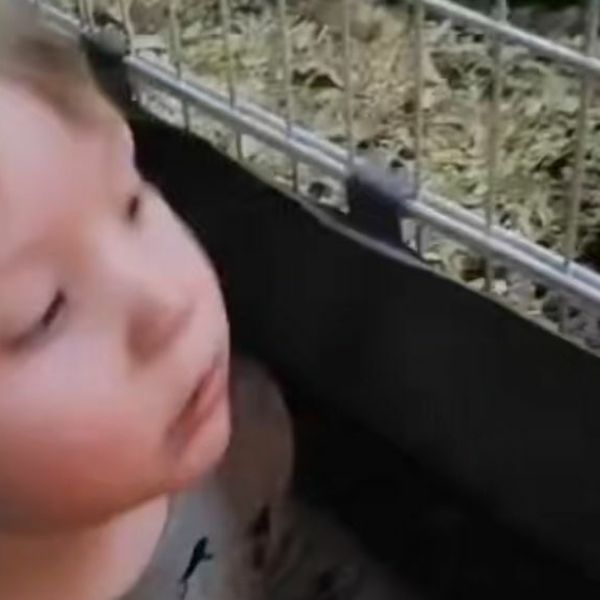 Mami nije bilo jasno tko sinu krati šiške, a onda je uhvatila krivca na djelu