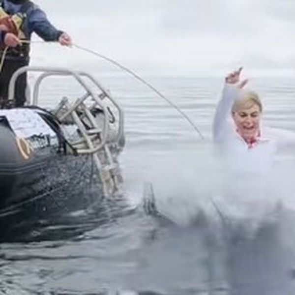 Kristijan Iličić objavio neuređenu snimku njegove ekipa koja skače u ledeno mora na Antarktici