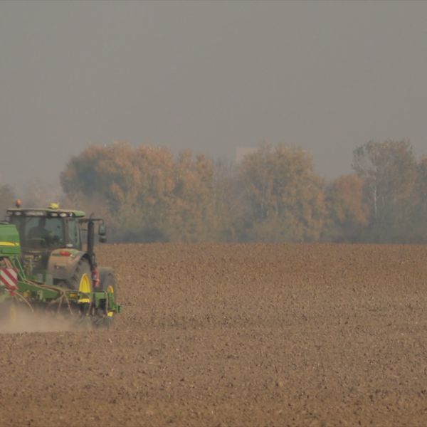Nasljedni kaos i poticaji: Problem koji pogađa male poljoprivrednike