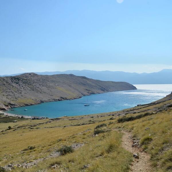 Uvala Vela Luka na Krku: Plaža za guštanje bez turista do koje se dolazi samo pješice ili morem