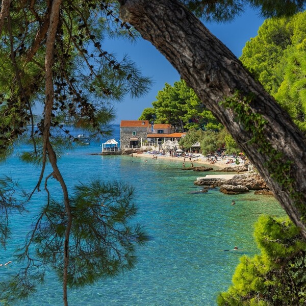 Plaža Kotlina u Bolu na Braču