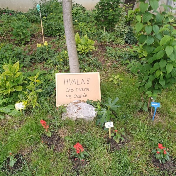 Iskoristite vodu iz klima-uređaja za zalijevanje biljaka