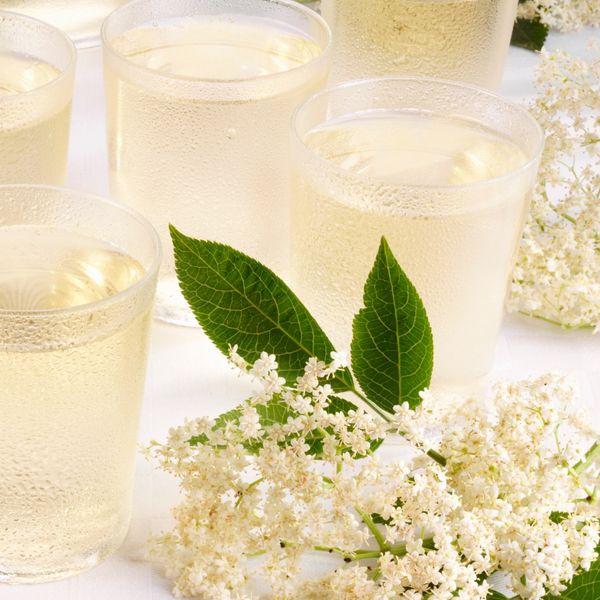 Sirup od bazge: Bakin recept za sok s okusom proljeća