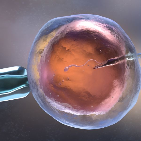 Revolucionarna metoda umjetne oplodnje spasila osmero djece od nasljednih bolesti