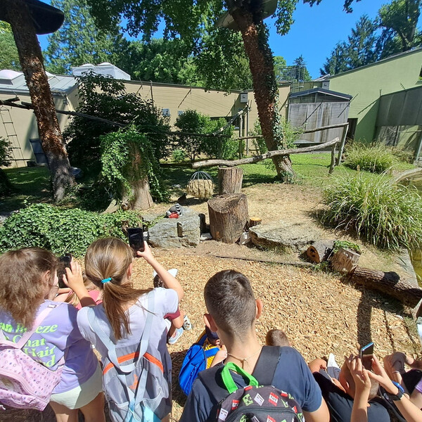 Ljetni školski praznici u zagrebačkom zoo vrtu