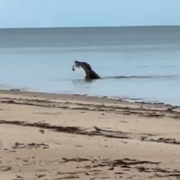 Idilična plaža puna je prijetnji, pokazala zašto se tamo nitko ne kupa