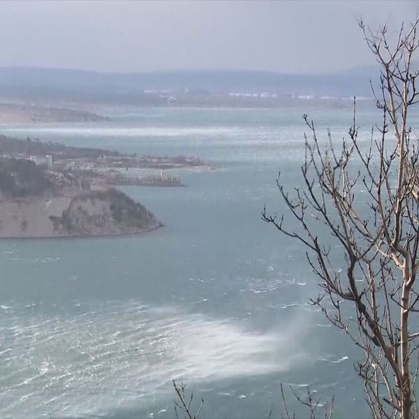 Alarmantni podaci iz Jadrana: Broj čestica mikroplastike stalno raste