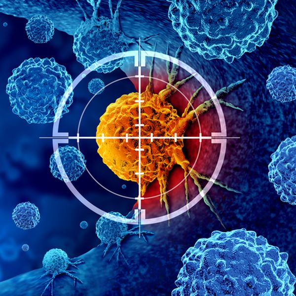 Velik uspjeh znanstvenika: Nakon više od pola stoljeća uspješno sintetizirana obećavajuća antikancerogena molekula