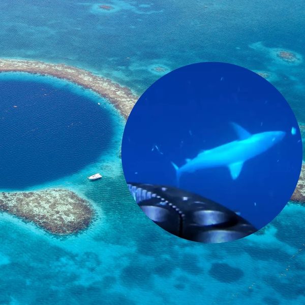 Spustili kameru na dno Velike plave rupe i došli do šokantnog otkrića!