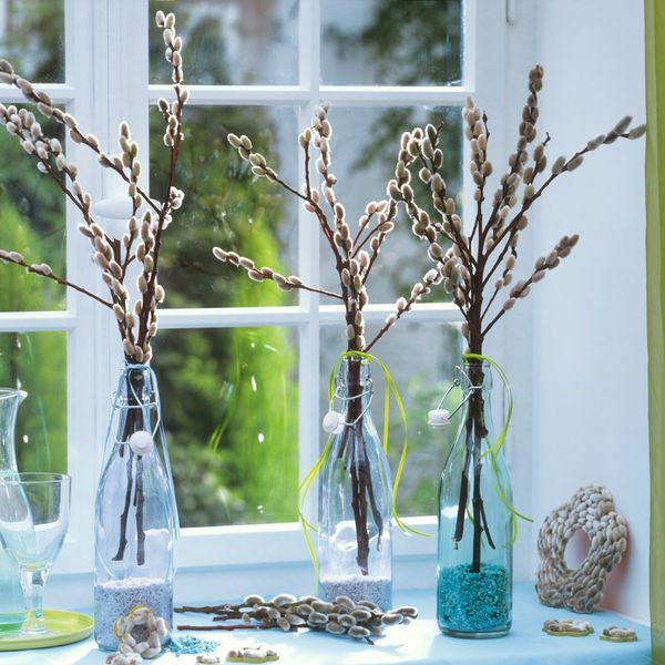 Cica mace su savršen ukras doma u proljeće, mogu trajati mjesecima