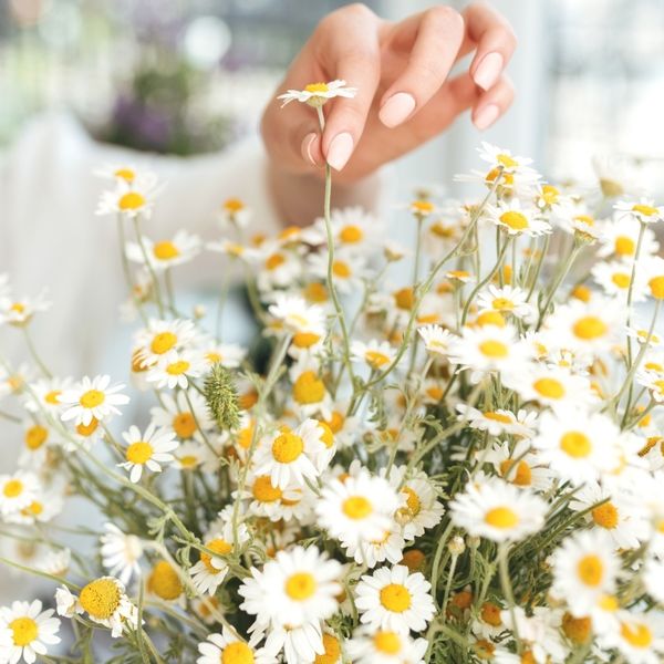 Dnevni horoskop za 10.3.