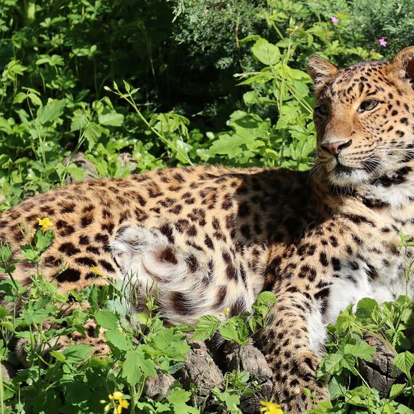 Školarce tijekom uskrsnih praznika očekuje Zoo avantura