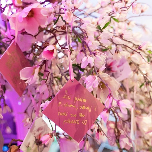 „Ja sam fajterica“ – događaj koji je okupio stručnjake i pružio podršku ženama suočenima s limfedemom, lipedemom i rakom dojke