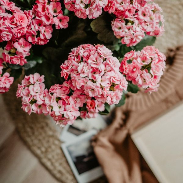 Dnevni horoskop za 16.3.