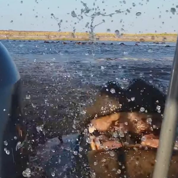 Zaskočila ih vodena neman, snimka pokazuje koliko opasna može biti