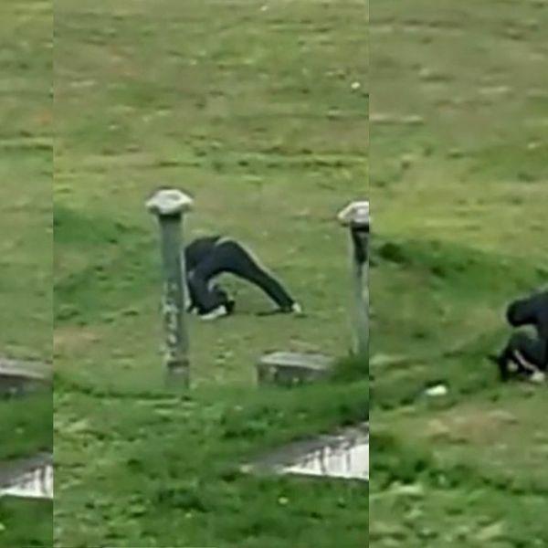 VIDEO Šokantna snimka: Muškarac brutalno udara psa dok on leži na podu i cvili