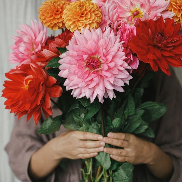 Dnevni horoskop za 21.3.