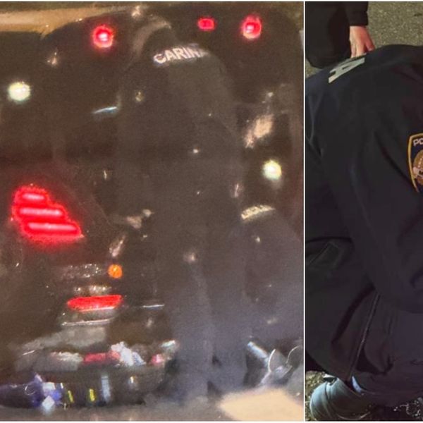 Stanivuković se po povratku u Banju Luku žalio na tretman u Hrvatskoj