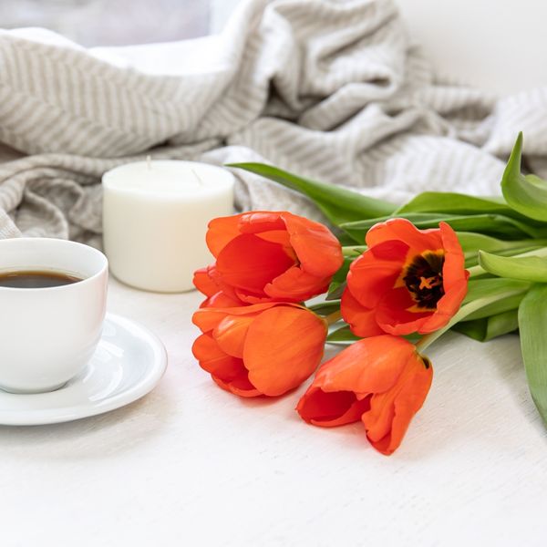 Dnevni horoskop za 25.3.