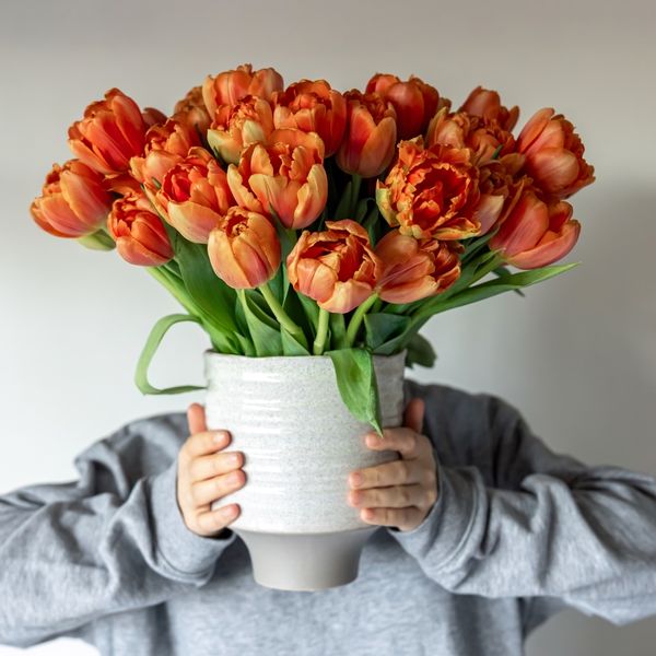 Kakve su osobe koje nose ime Maja?