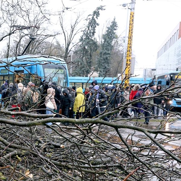 Možda danas kasnimo i živciramo se – ali izaberimo malo više strpljenja i dobrote