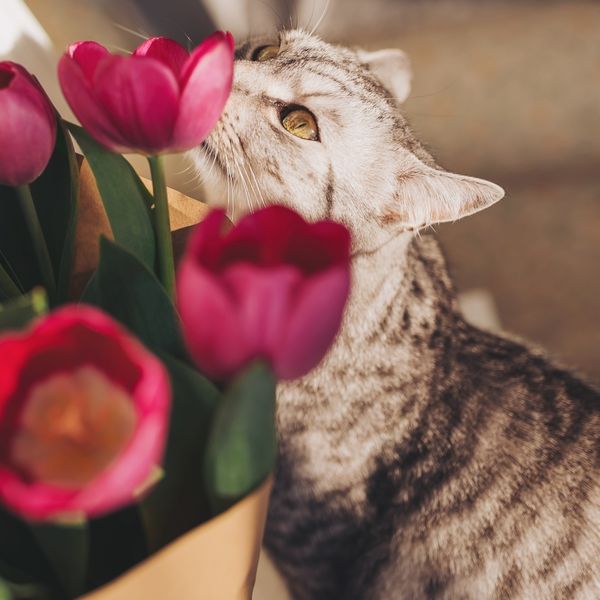 Mjesečni horoskop za travanj 2026.