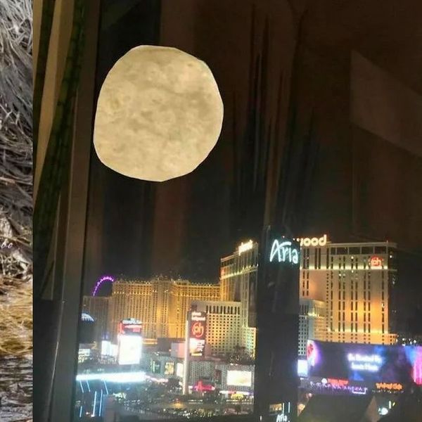 Slučajno snimili zbunjujuće prizore, možete li odgonetnuti što se skriva na fotografijama?