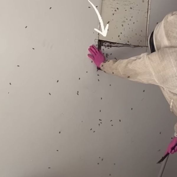 Kako je ovo moguće? Vlasnik nije ni slutio kakav problem ima dok nije zavirio iza zida