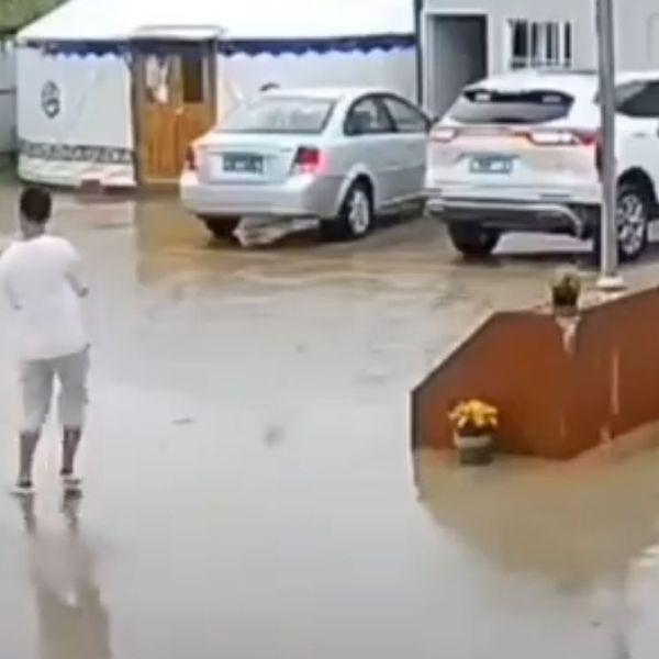 Njihovi psi izazivaju kaos gdje god se pojave, pogledajte samo taj urnebes