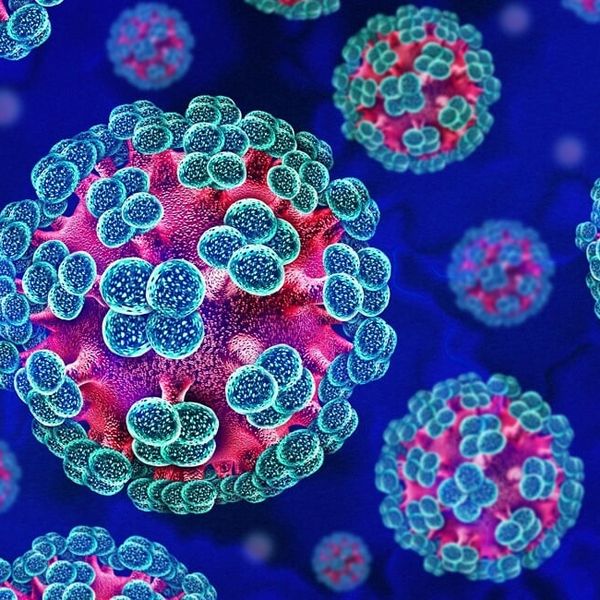 Hantavirus: Što uzrokuje i koji su simptomi opasne infekcije koja se širi nizozemskim kruzerom?